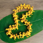 Puakenikeni Foam Lei